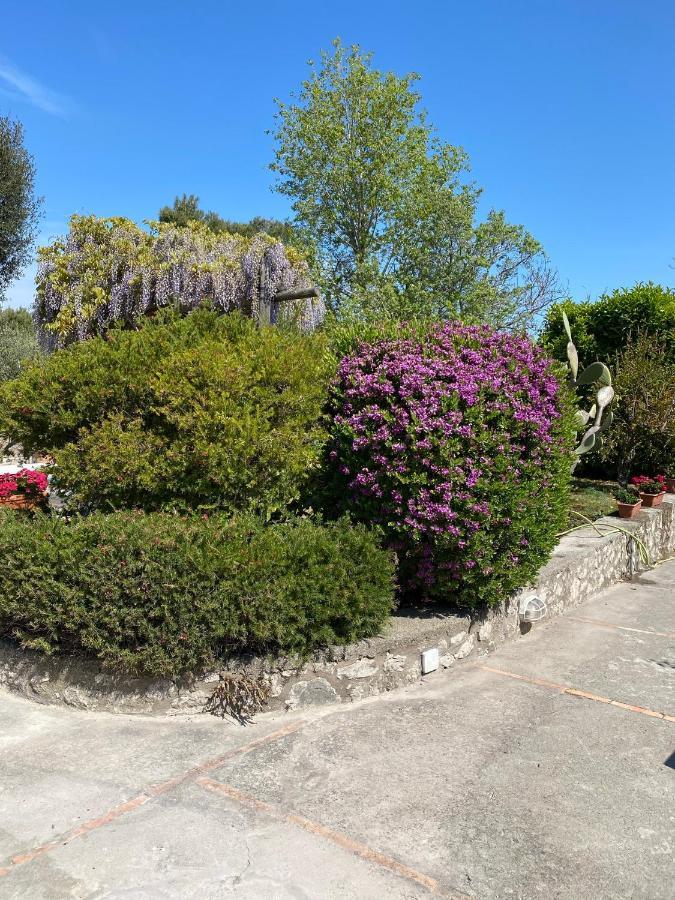 Casaale Βίλα Ανακάπρι Εξωτερικό φωτογραφία
