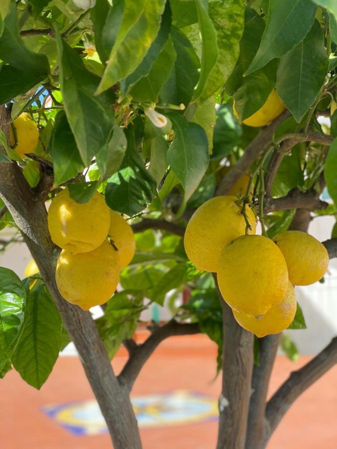 Casaale Βίλα Ανακάπρι Εξωτερικό φωτογραφία