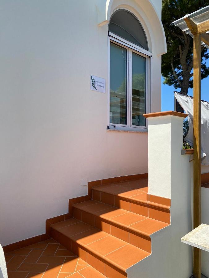 Casaale Βίλα Ανακάπρι Εξωτερικό φωτογραφία
